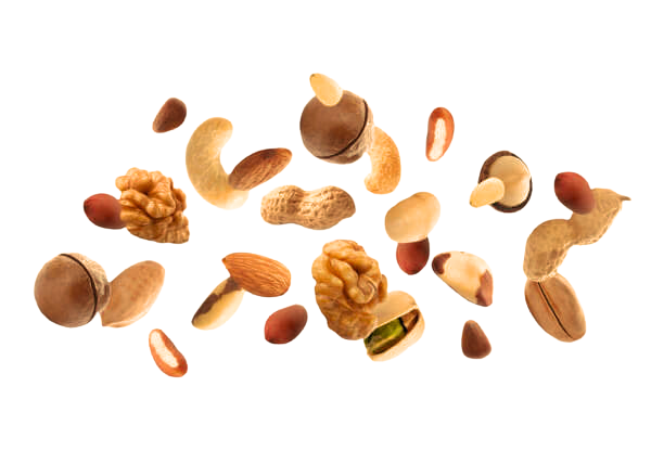egyptian nuts store banner.png
